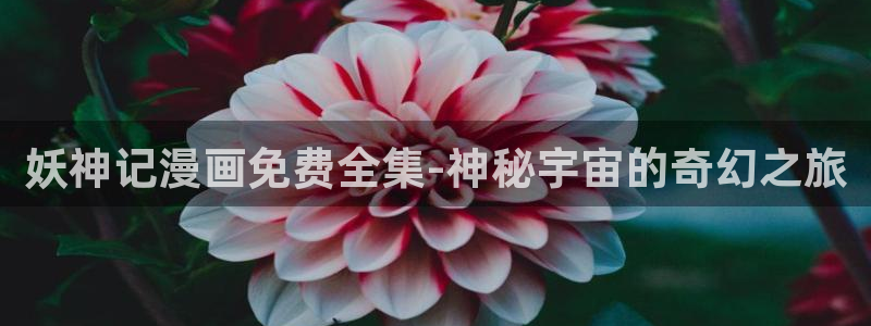 51漫画没了：妖神记漫画免费全集-神秘宇宙的奇幻之旅