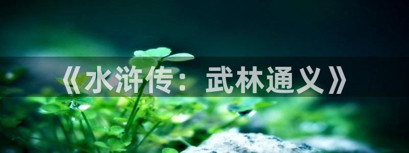 51漫画官网全网最新：《水浒传：武林通义》